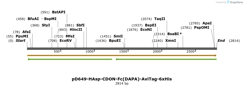 303124_map