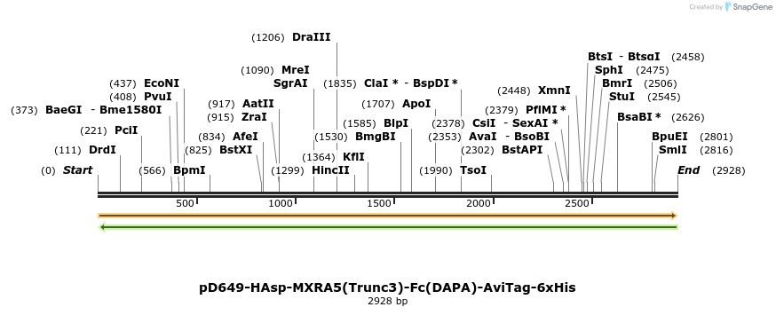 303138_map