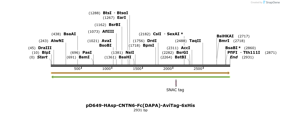 303140_map