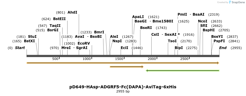303148_map