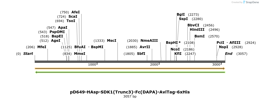 303154_map