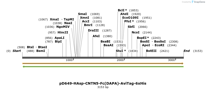 303162_map