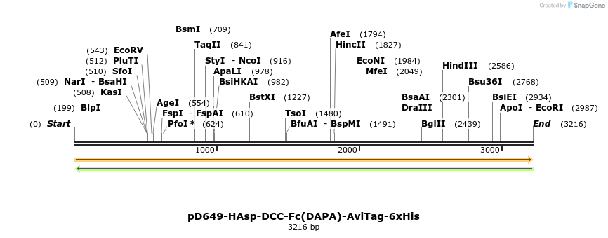 303168_map