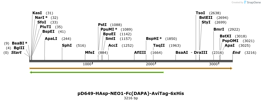 303170_map