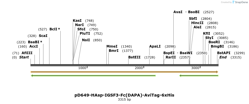 303174_map