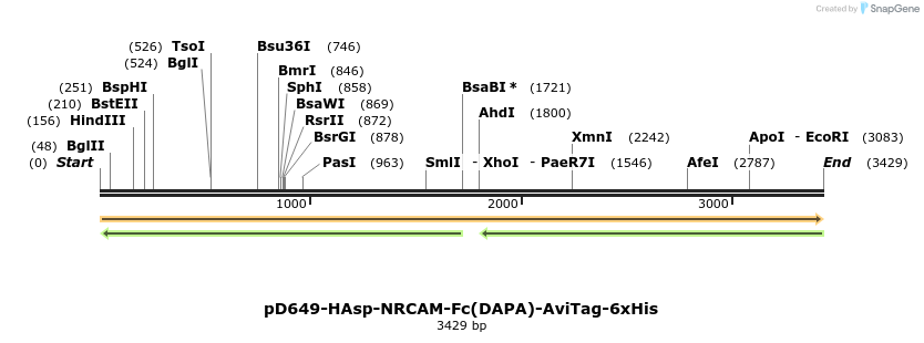 303176_map