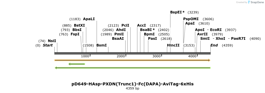303194_map