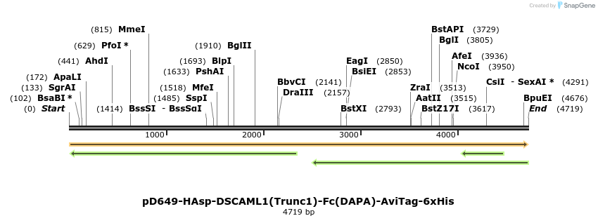 303196_map
