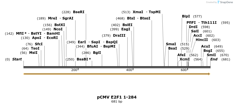 30320_map