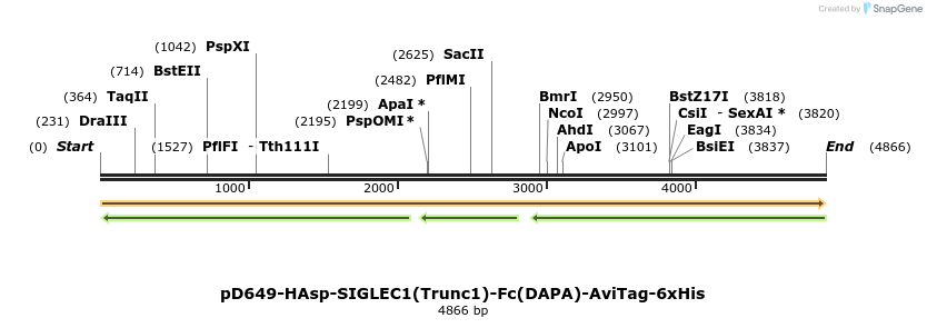 303202_map