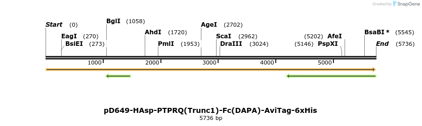 303210_map