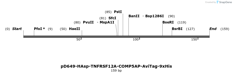 303214_map