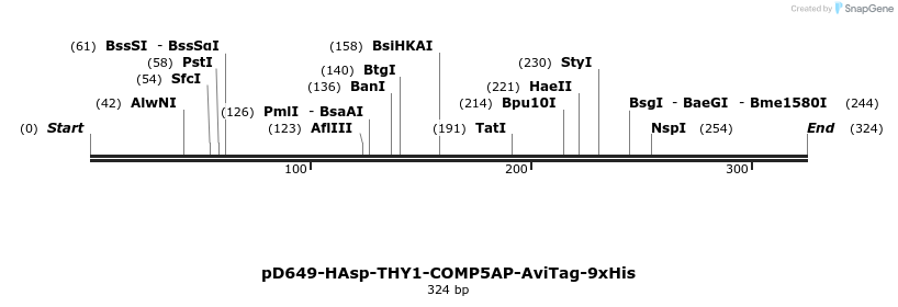 303222_map