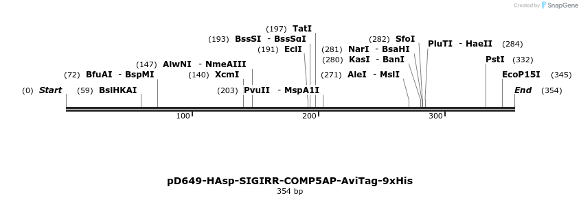 303226_map