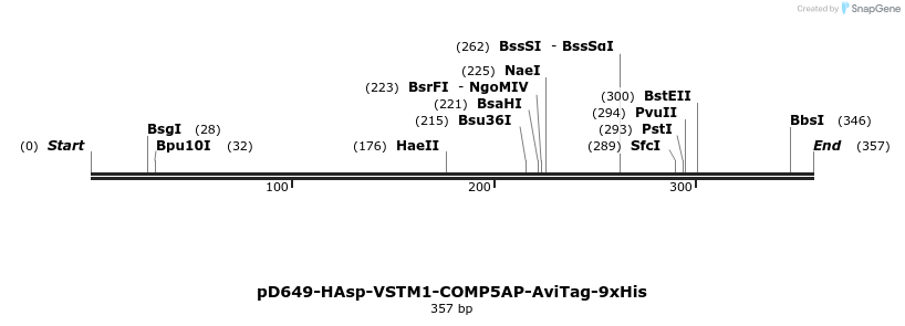 303230_map
