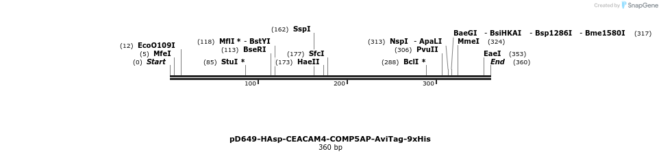 303232_map