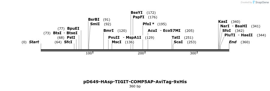 303234_map