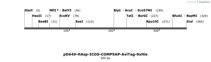 303236_map