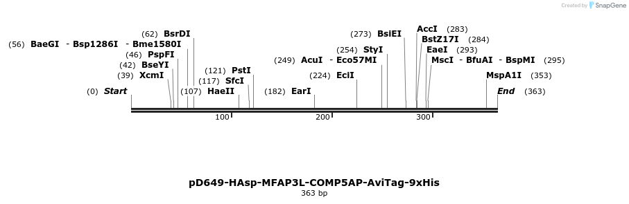 303238_map