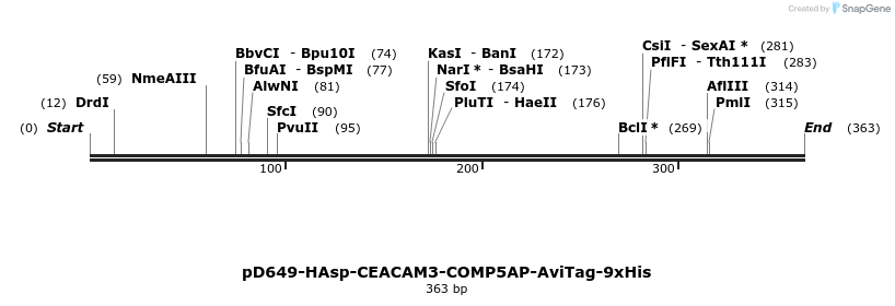 303240_map