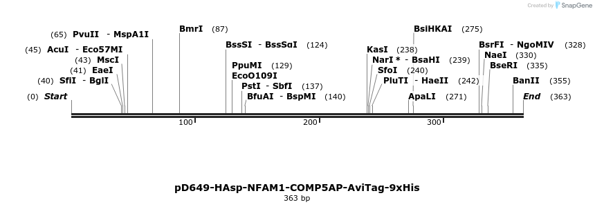 303242_map