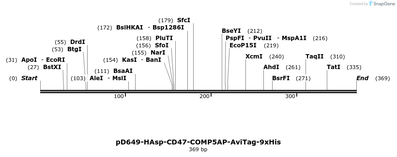 303244_map