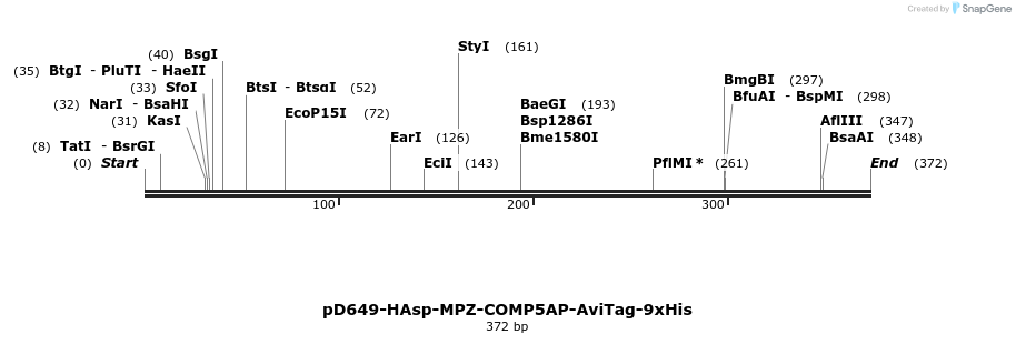 303246_map