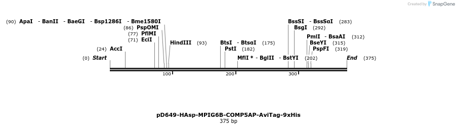 303248_map