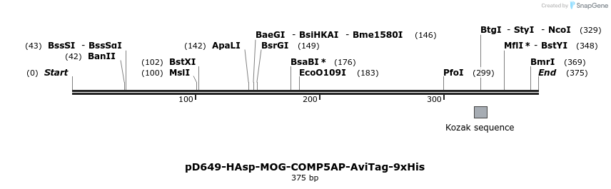 303252_map