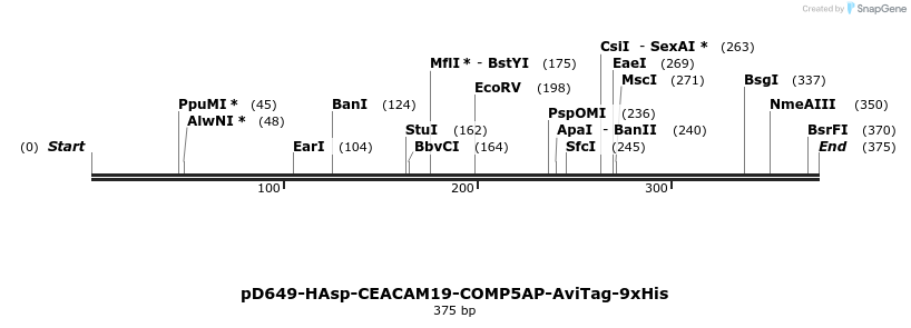 303254_map