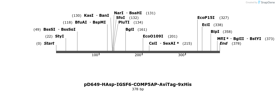 303256_map