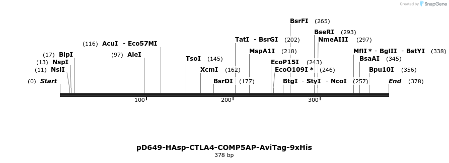303258_map