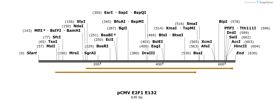 30326_map
