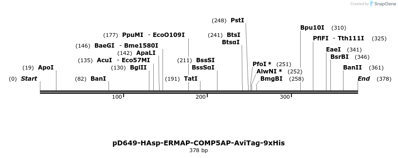 303260_map