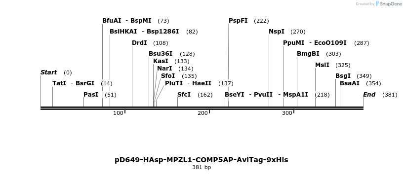 303262_map