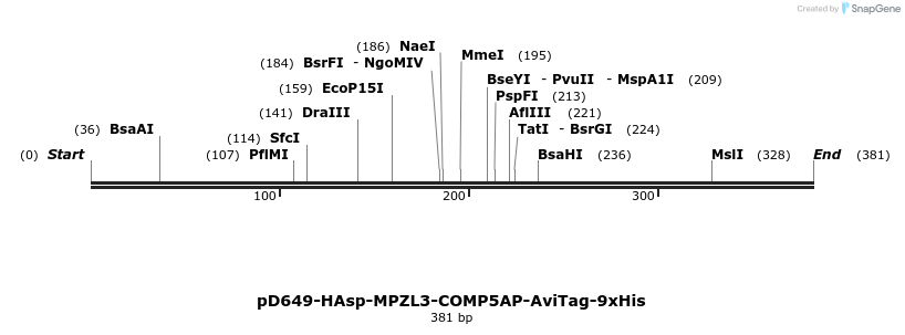 303264_map