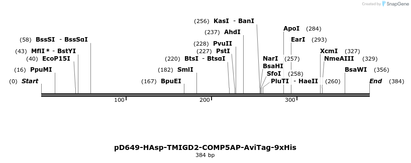 303270_map