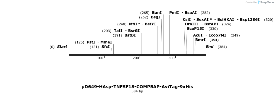 303272_map