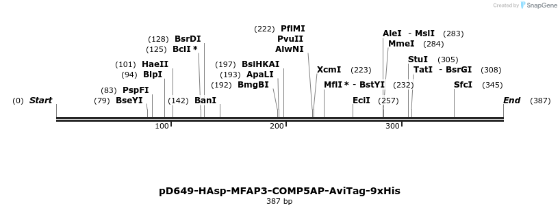 303274_map