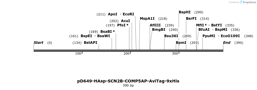 303276_map