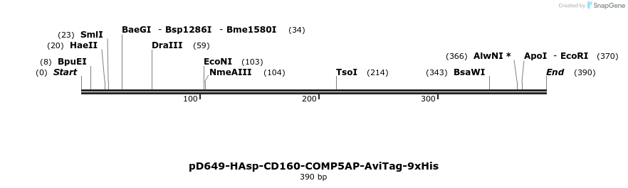 303278_map