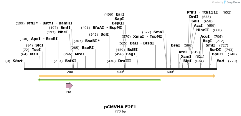 30328_map