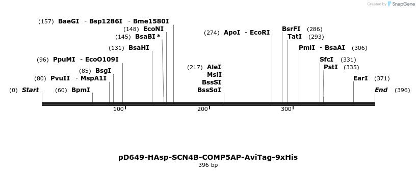 303282_map
