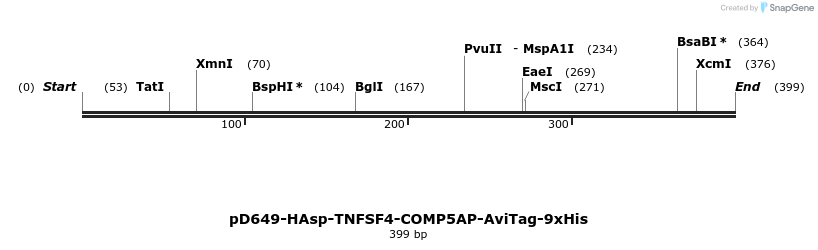 303284_map