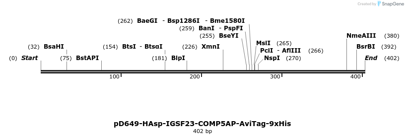 303286_map