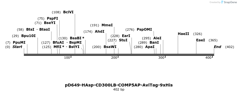303288_map