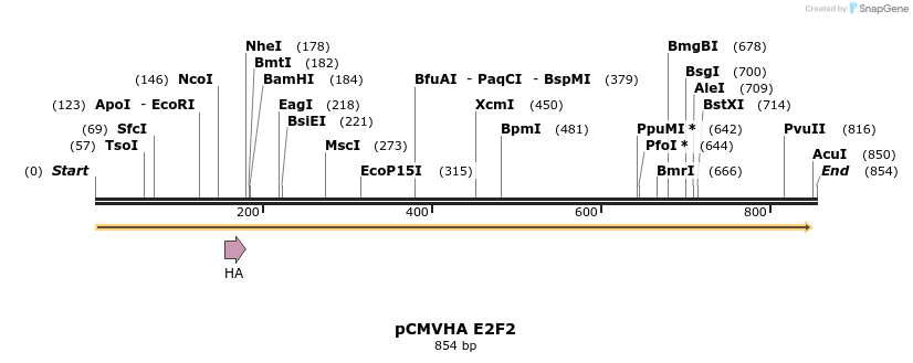 30329_map