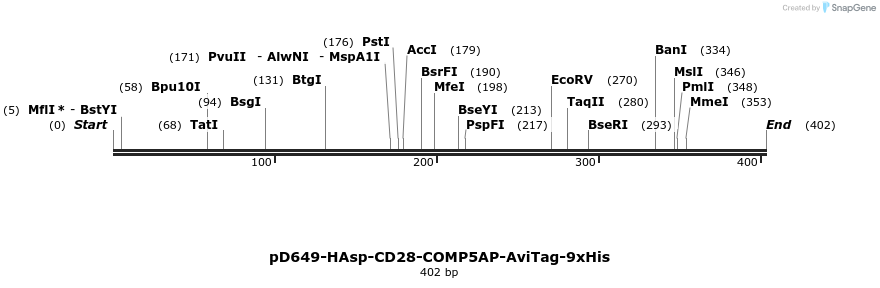 303290_map