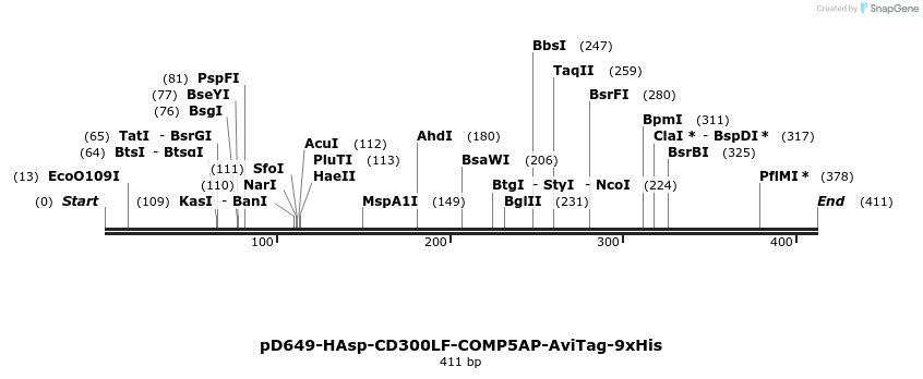 303294_map
