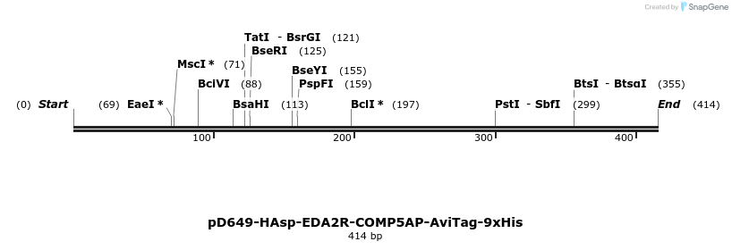 303302_map